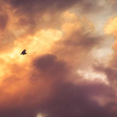 cramp relief essential | 3-in-1 comfort pack