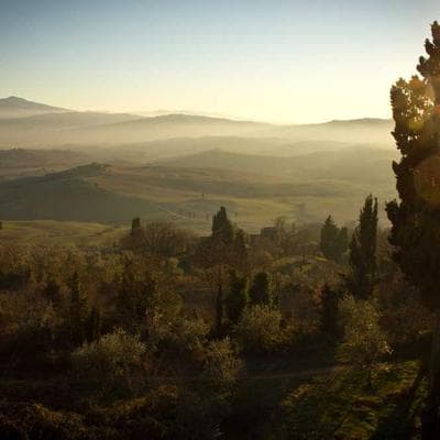 daily panty liners | ultra-thin & breathable